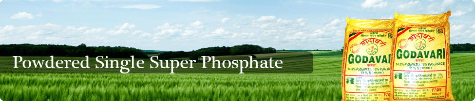 single super phosphate